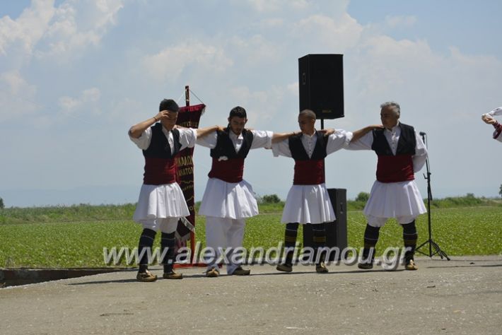 alexandriamou.gr_trikala28.5.2018100